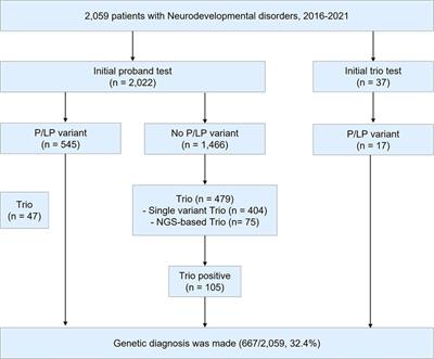 Analysis of trio test in neurodevelopmental disorders